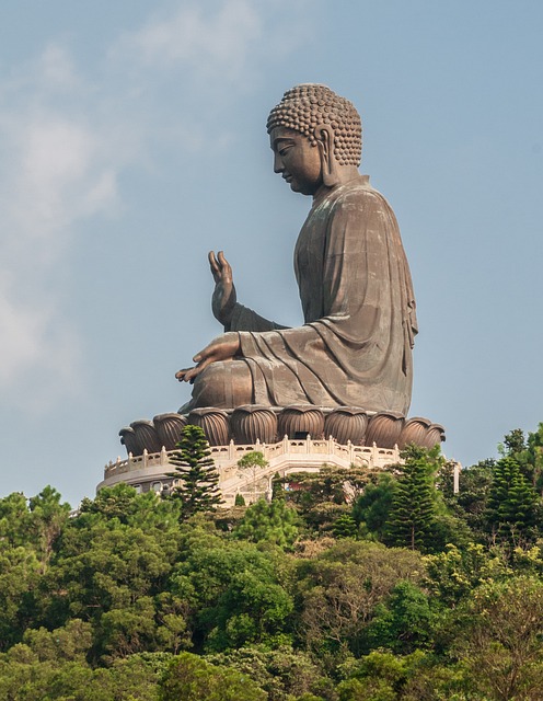 심리학과